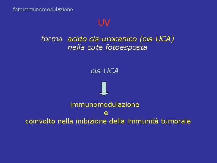fotoimmunomodulazione UV forma acido cis-urocanico (cis-UCA) nella cute fotoesposta cis-UCA immunomodulazione e coinvolto nella fotoimmunomodulazione UV forma acido cis-urocanico (cis-UCA) nella cute fotoesposta cis-UCA immunomodulazione e coinvolto nella