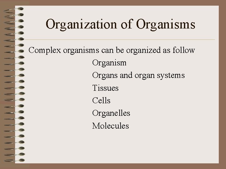 Organization of Organisms Complex organisms can be organized as follow Organism Organs and organ