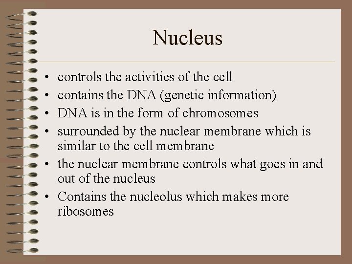 Nucleus • • controls the activities of the cell contains the DNA (genetic information)