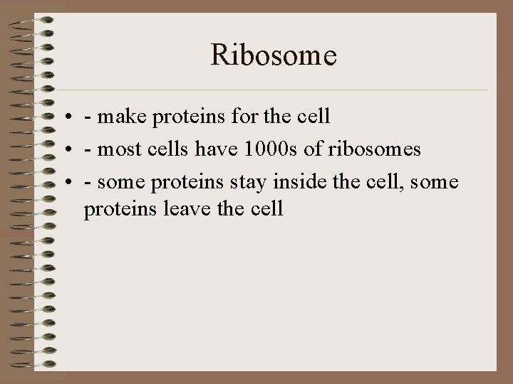 Ribosome • - make proteins for the cell • - most cells have 1000