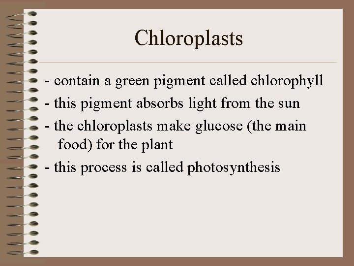 Chloroplasts - contain a green pigment called chlorophyll - this pigment absorbs light from