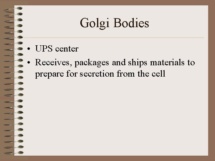 Golgi Bodies • UPS center • Receives, packages and ships materials to prepare for