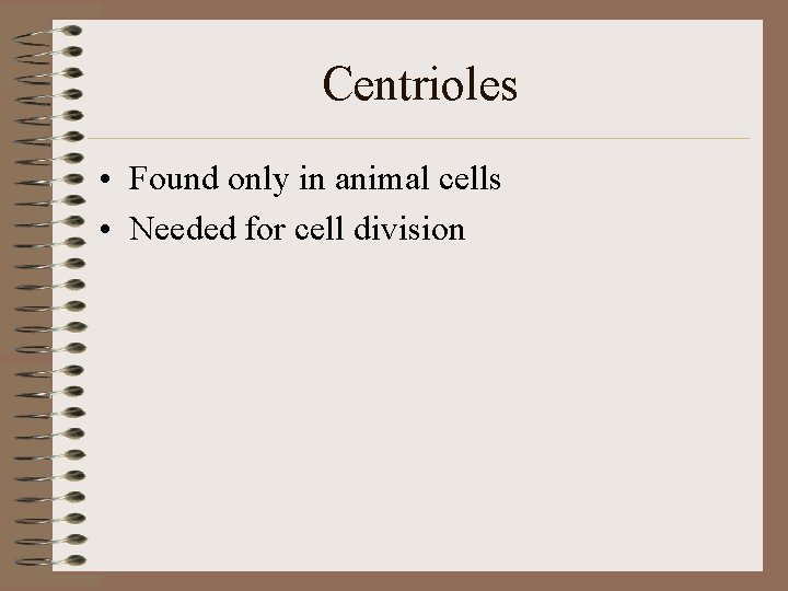 Centrioles • Found only in animal cells • Needed for cell division 
