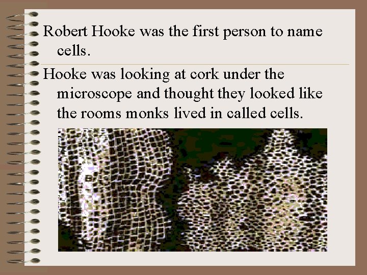 Robert Hooke was the first person to name cells. Hooke was looking at cork