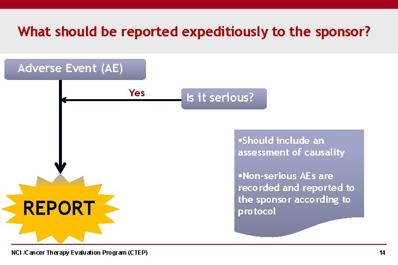 What should be reported expeditiously to the sponsor? Adverse Event (AE) Yes Is it