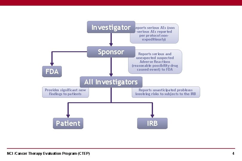 Investigator Sponsor FDA Reports serious AEs (non -serious AEs reported per protocol nonexpeditiously) Reports