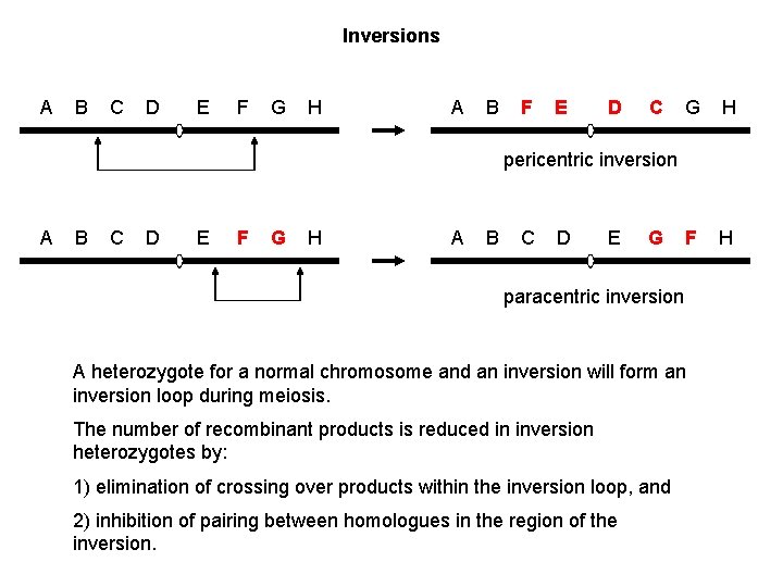 Inversions A B C D E F G H A B F E D