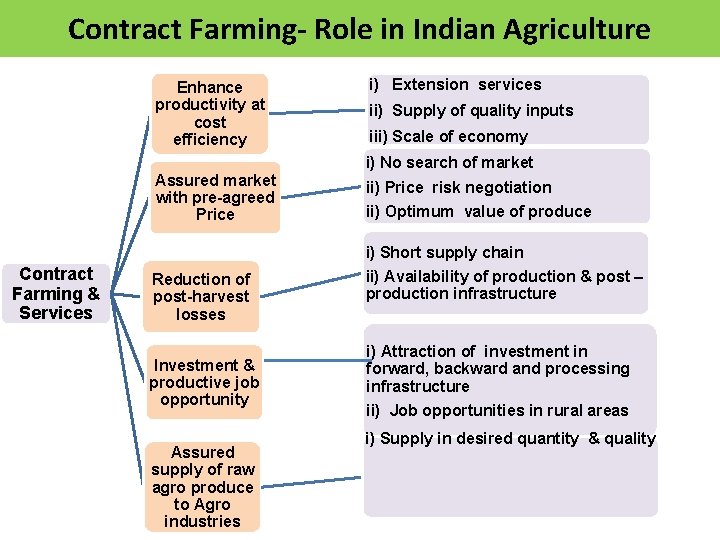 Contract Farming- Role in Indian Agriculture Enhance productivity at cost efficiency Assured market with