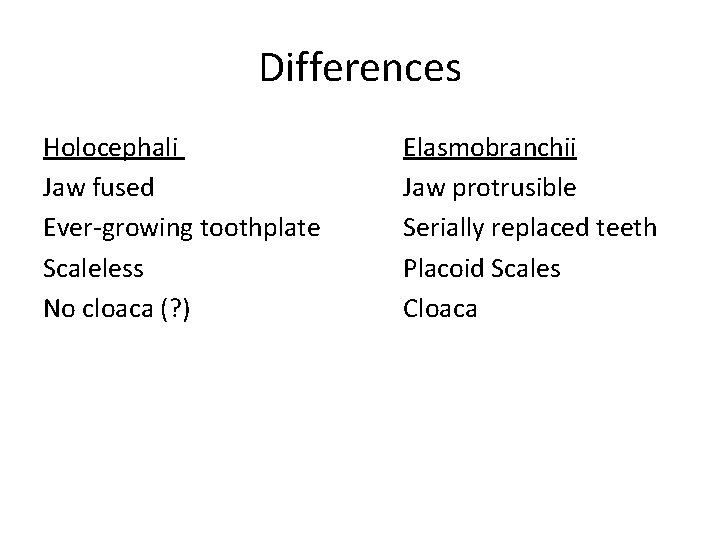 Differences Holocephali Jaw fused Ever-growing toothplate Scaleless No cloaca (? ) Elasmobranchii Jaw protrusible