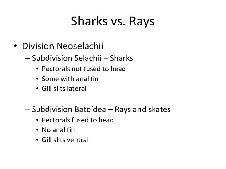 Sharks vs. Rays • Division Neoselachii – Subdivision Selachii – Sharks • Pectorals not