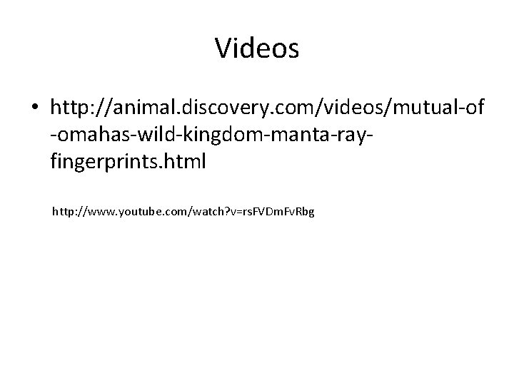 Videos • http: //animal. discovery. com/videos/mutual-of -omahas-wild-kingdom-manta-rayfingerprints. html http: //www. youtube. com/watch? v=rs. FVDm.