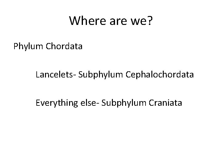 Where are we? Phylum Chordata Lancelets- Subphylum Cephalochordata Everything else- Subphylum Craniata 