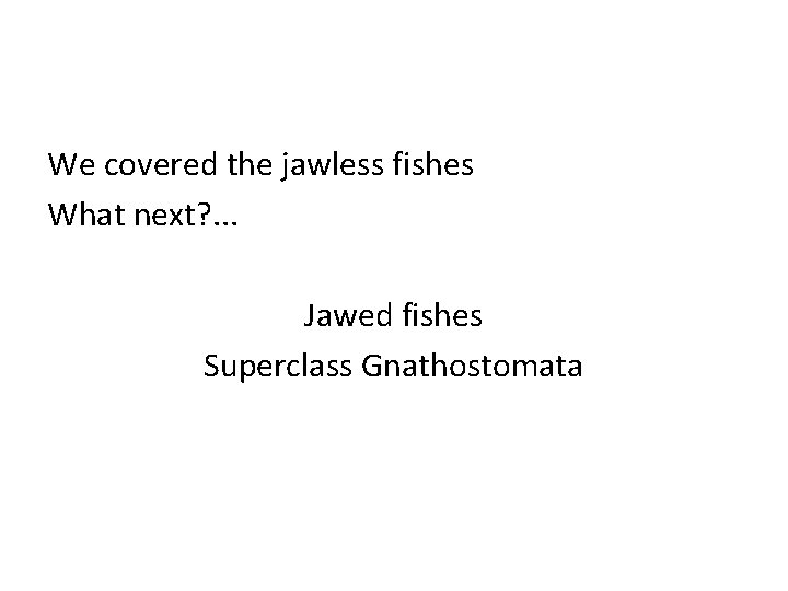 We covered the jawless fishes What next? . . . Jawed fishes Superclass Gnathostomata
