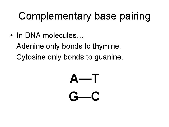 Complementary base pairing • In DNA molecules… Adenine only bonds to thymine. Cytosine only