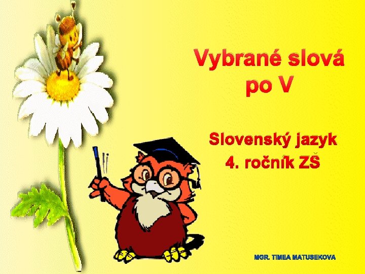Vybrané slová po V Slovenský jazyk 4. ročník ZŠ 