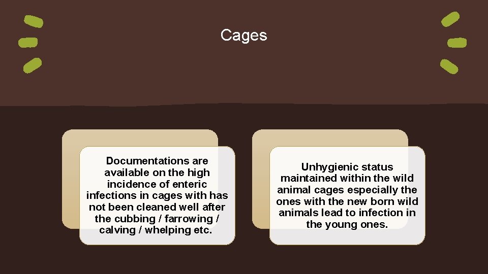 Cages Documentations are available on the high incidence of enteric infections in cages with