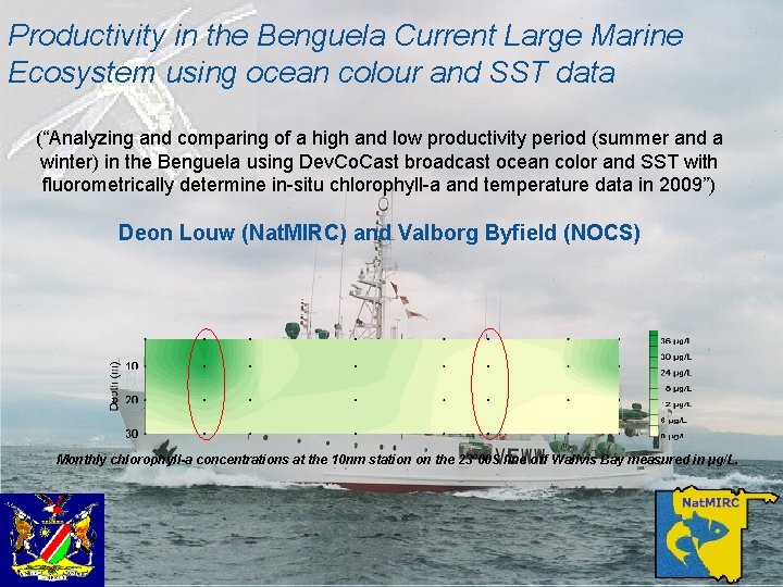 Productivity in the Benguela Current Large Marine Ecosystem using ocean colour and SST data