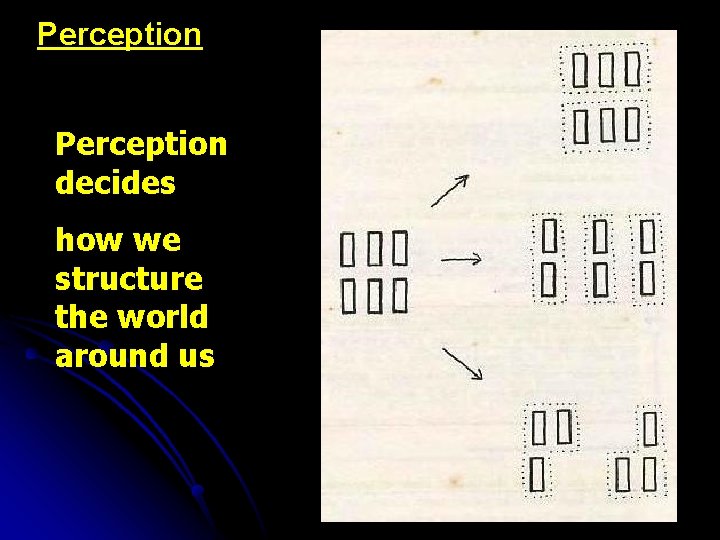 Perception decides how we structure the world around us 