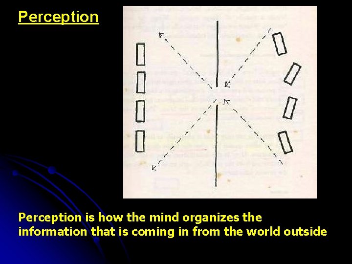 Perception is how the mind organizes the information that is coming in from the