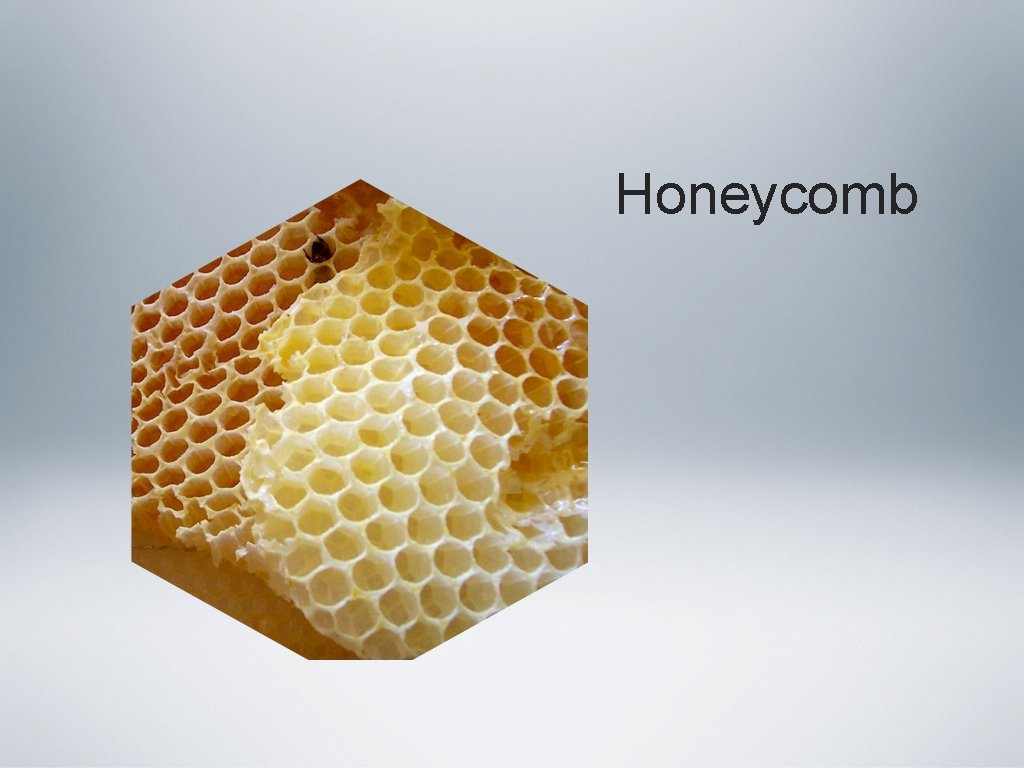 Honeycomb 