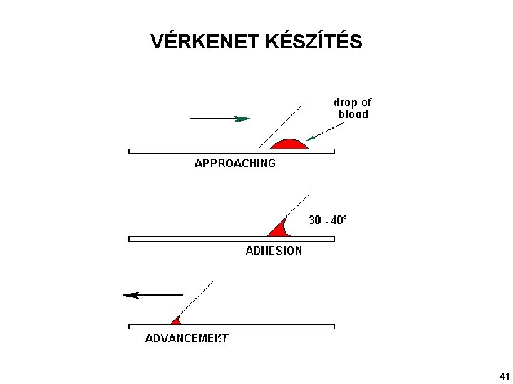 VÉRKENET KÉSZÍTÉS Kenetkészítés 41 