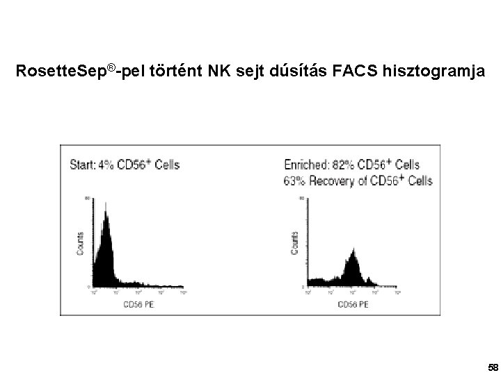 Rosette. Sep®-pel történt NK sejt dúsítás FACS hisztogramja 58 