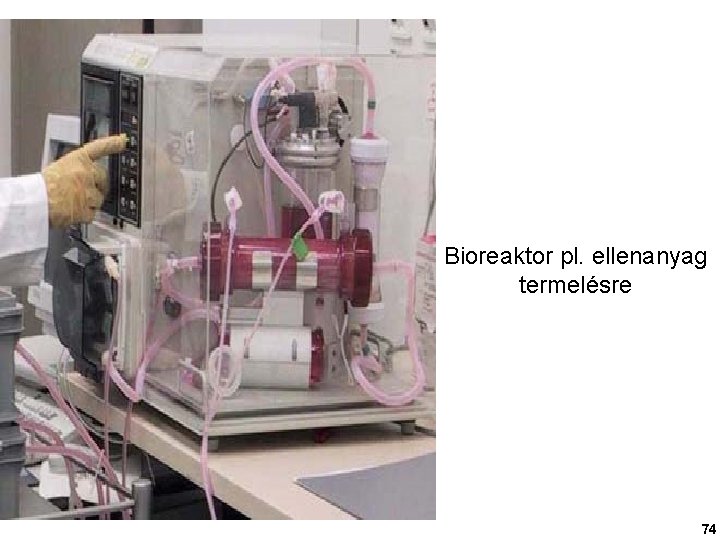 Bioreaktor pl. ellenanyag termelésre 74 