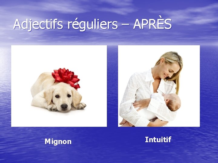 Adjectifs réguliers – APRÈS Mignon Intuitif 