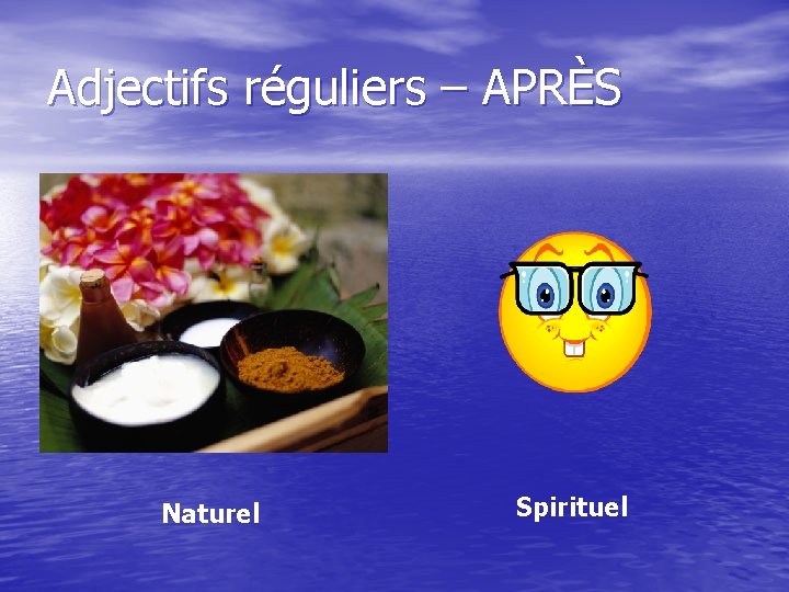 Adjectifs réguliers – APRÈS Naturel Spirituel 