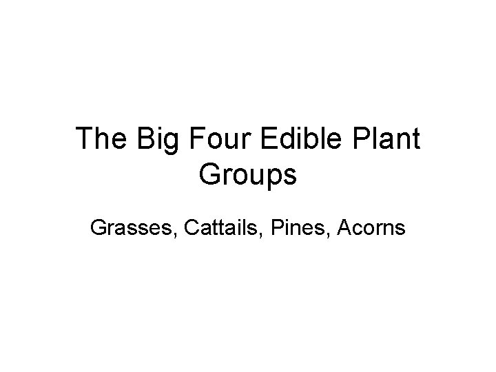 The Big Four Edible Plant Groups Grasses, Cattails, Pines, Acorns 