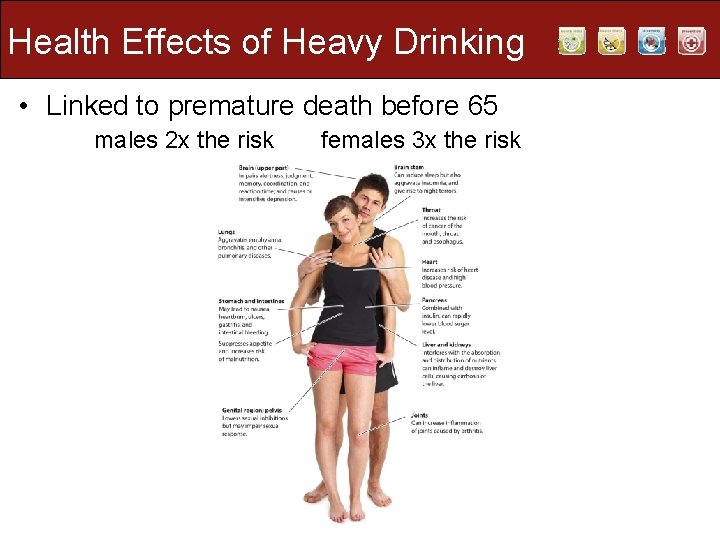 Health Effects of Heavy Drinking • Linked to premature death before 65 males 2 Health Effects of Heavy Drinking • Linked to premature death before 65 males 2