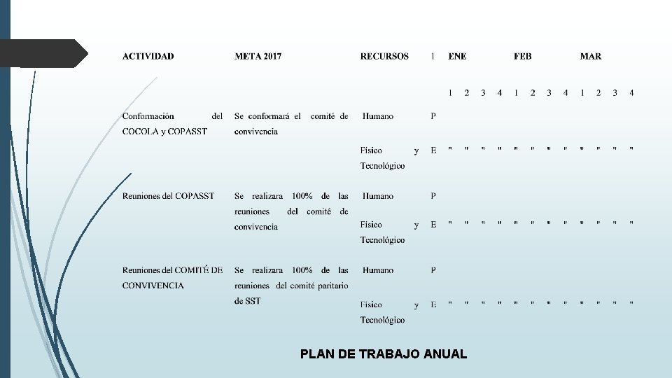 PLAN DE TRABAJO ANUAL 