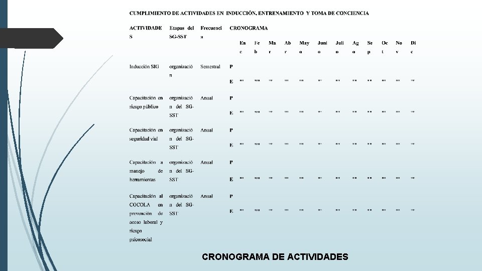 CRONOGRAMA DE ACTIVIDADES 