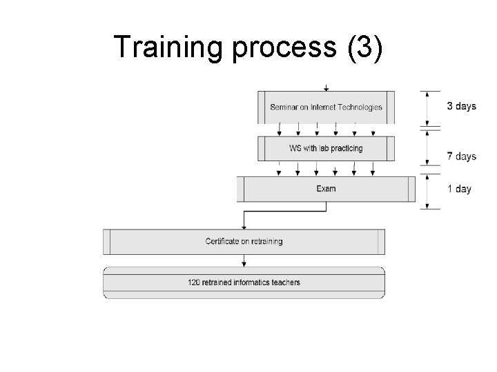 Training process (3) 