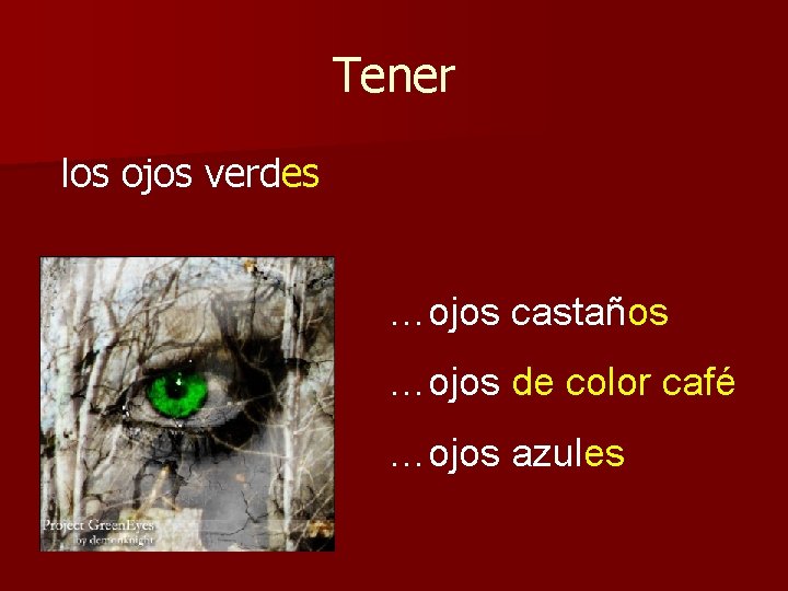 Tener los ojos verdes …ojos castaños …ojos de color café …ojos azules 