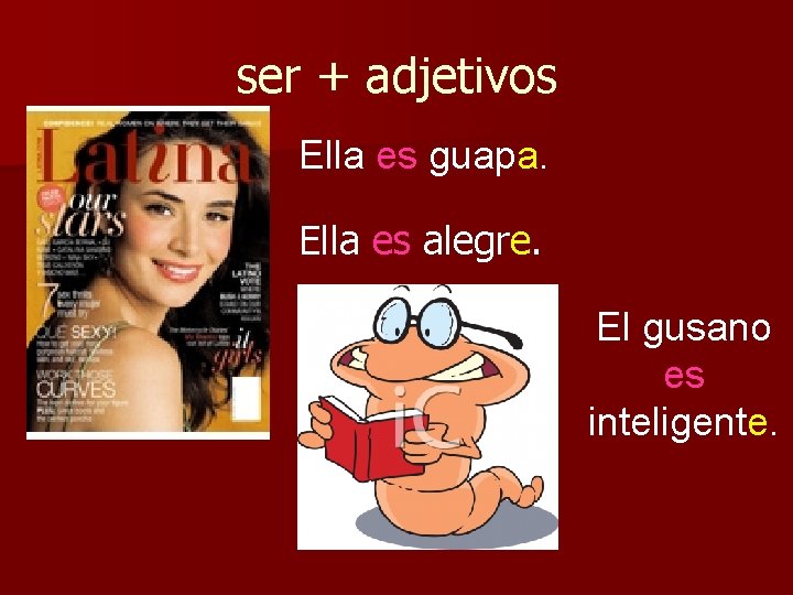 ser + adjetivos Ella es guapa. Ella es alegre. El gusano es inteligente. 
