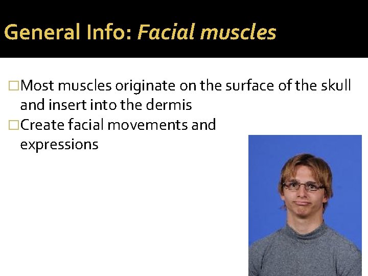 General Info: Facial muscles �Most muscles originate on the surface of the skull and