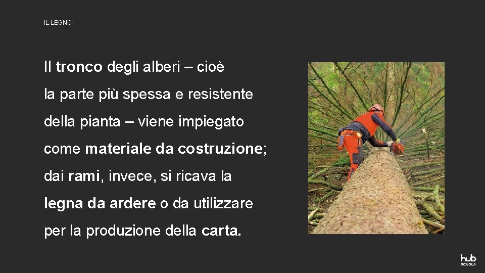 IL LEGNO Il tronco degli alberi – cioè la parte più spessa e resistente