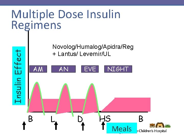 Multiple Dose Insulin Regimens Insulin Effect Novolog/Humalog/Apidra/Reg + Lantus/ Levemir/UL AM B AN L