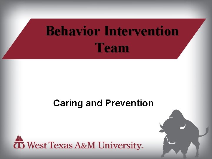 Behavior Intervention Team Caring and Prevention 