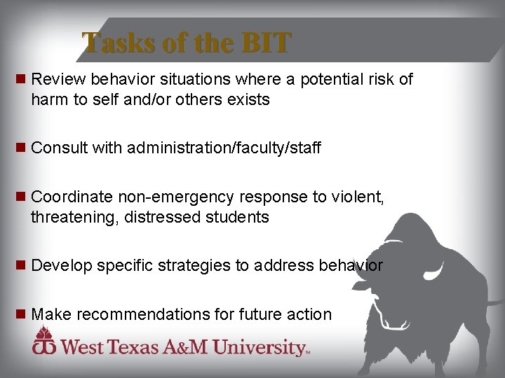 Tasks of the BIT Review behavior situations where a potential risk of harm to