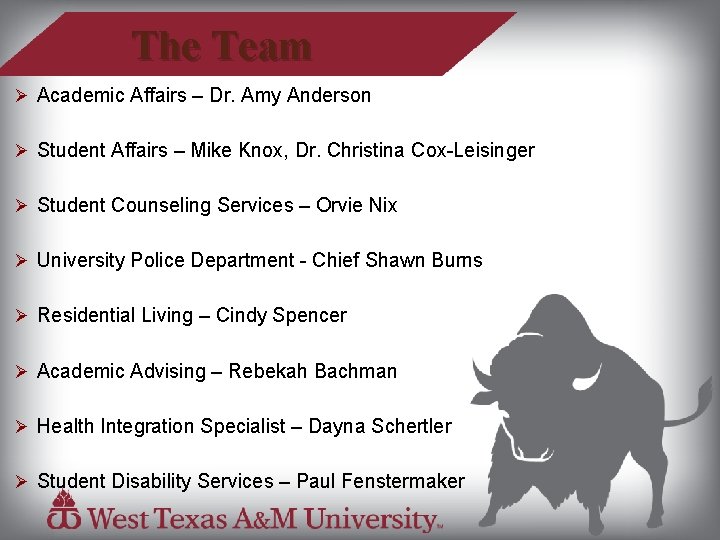 The Team Ø Academic Affairs – Dr. Amy Anderson Ø Student Affairs – Mike