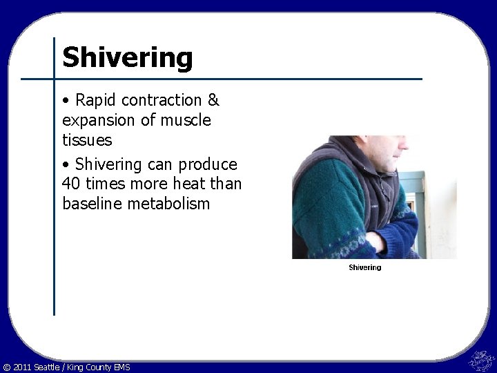 Shivering • Rapid contraction & expansion of muscle tissues • Shivering can produce 40