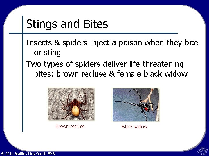 Stings and Bites Insects & spiders inject a poison when they bite or sting