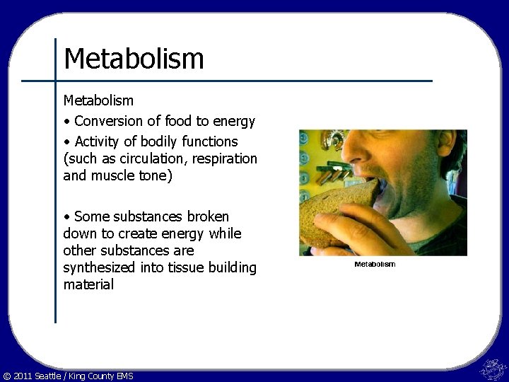 Metabolism • Conversion of food to energy • Activity of bodily functions (such as