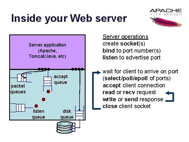 Inside your Web server Server application (Apache, Tomcat/Java, etc) accept queue packet queues listen