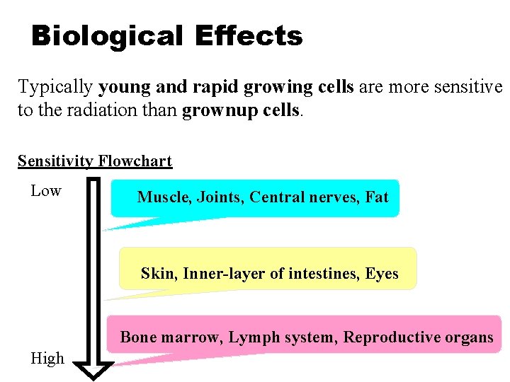 Biological Effects Typically young and rapid growing cells are more sensitive to the radiation