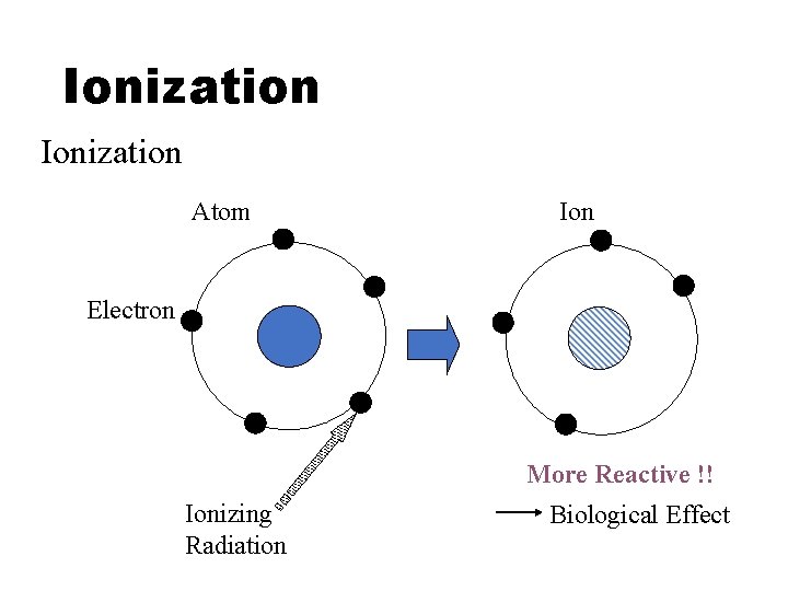 Ionization Atom Ion Electron More Reactive !! Ionizing Radiation Biological Effect 