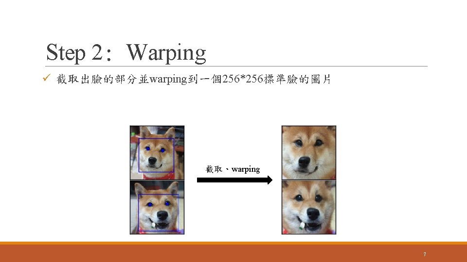 Step 2: Warping ü 截取出臉的部分並warping到一個256*256標準臉的圖片 截取、warping 7 