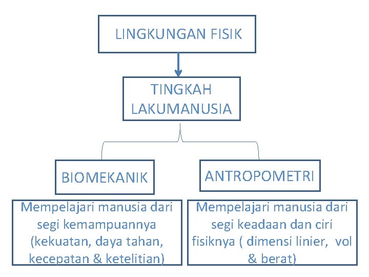 LINGKUNGAN FISIK TINGKAH LAKUMANUSIA BIOMEKANIK Mempelajari manusia dari segi kemampuannya (kekuatan, daya tahan, kecepatan